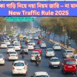New Traffic Rule 2025